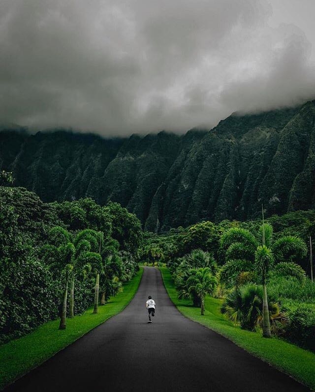 running towards forest