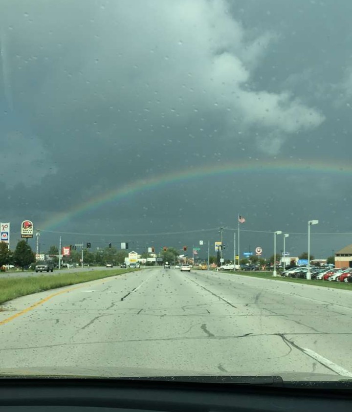 Rainbow 