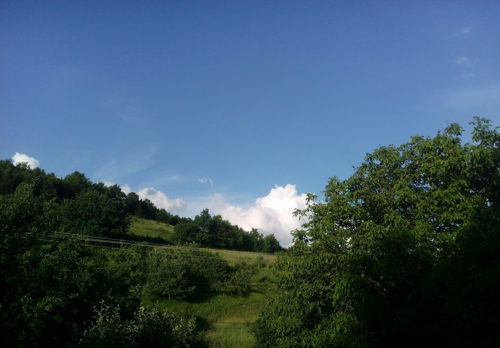 Nature