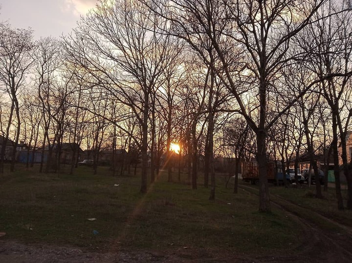 Sunset twinkling