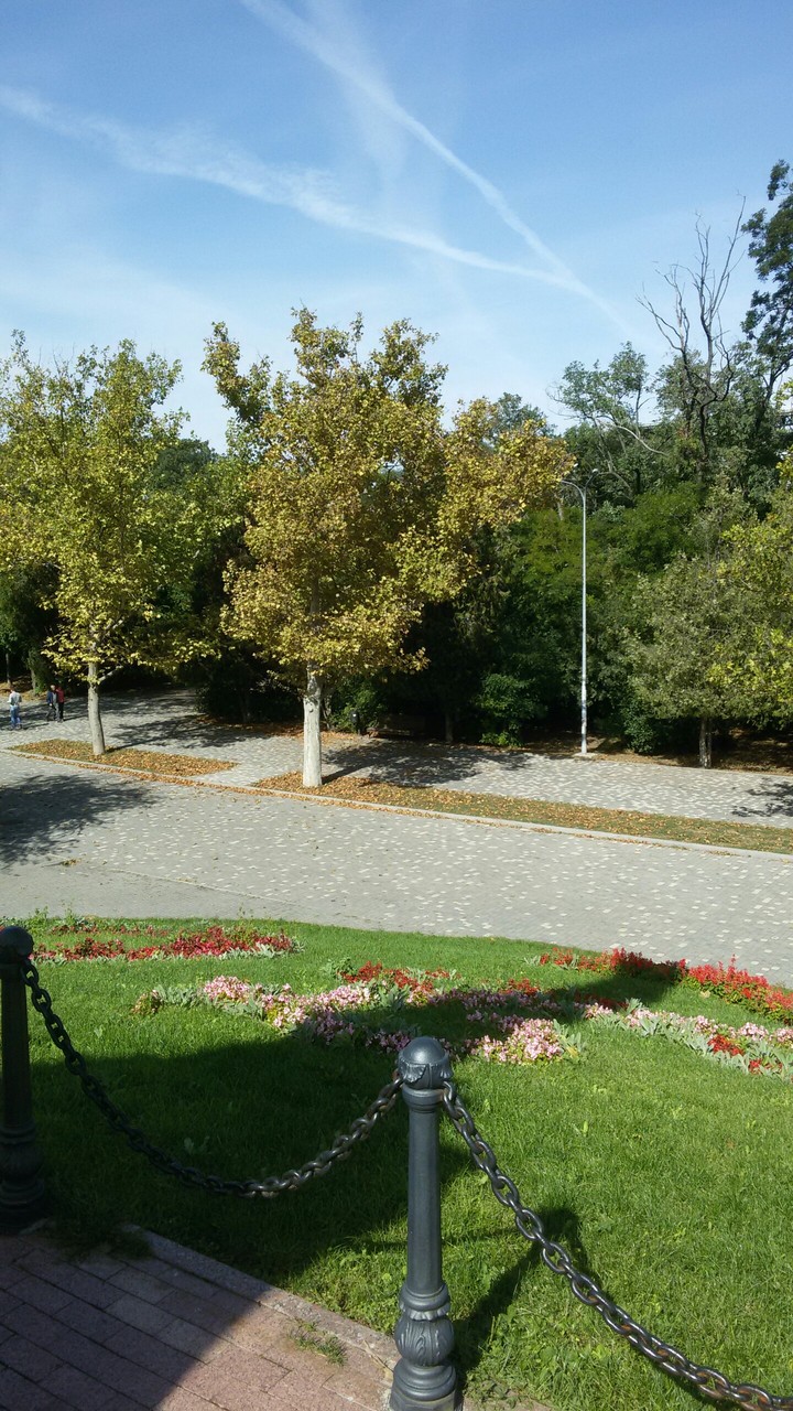 Красота