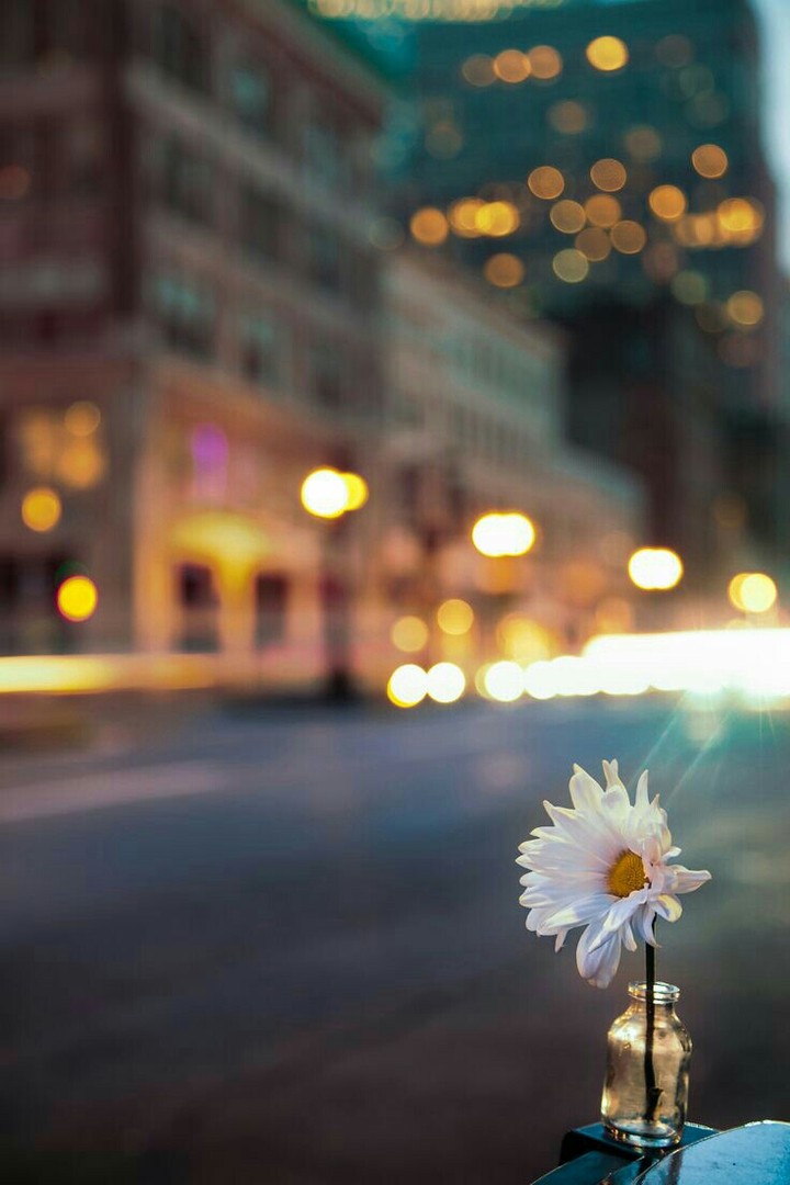 Have a lovely day ..