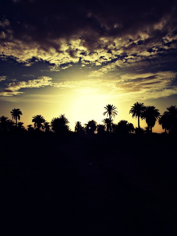 sahara beautiful