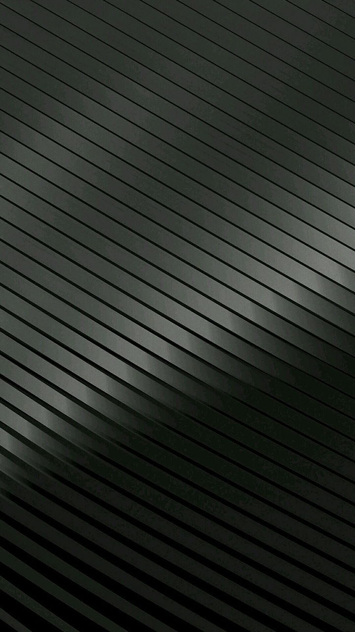black back■▪•