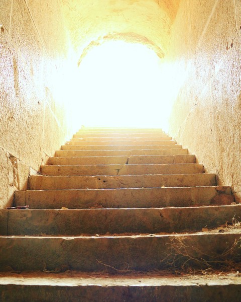 The light