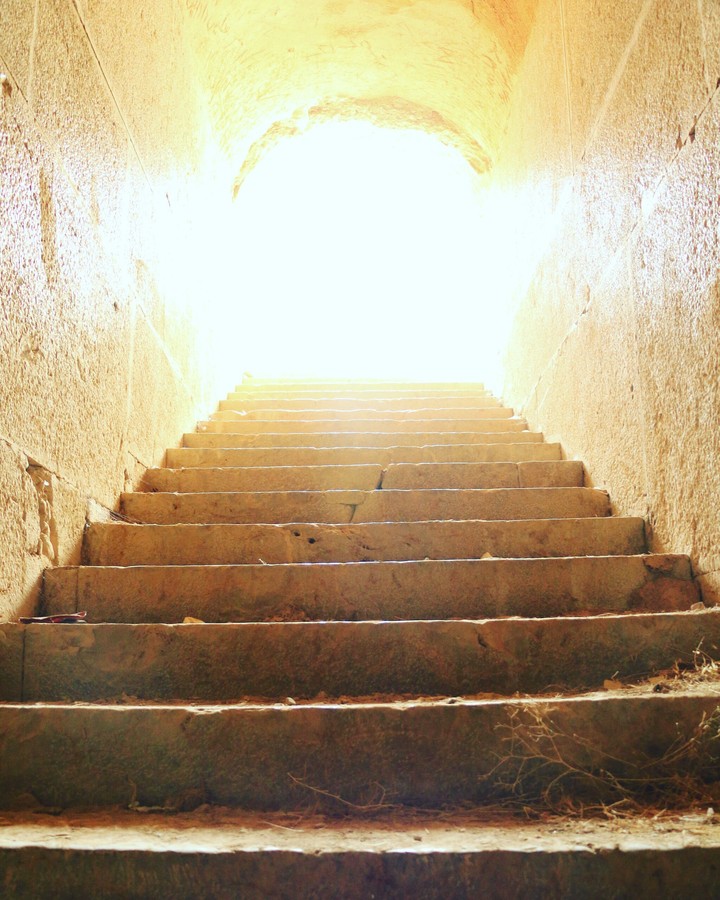 The light