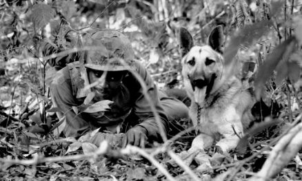 War Dogs