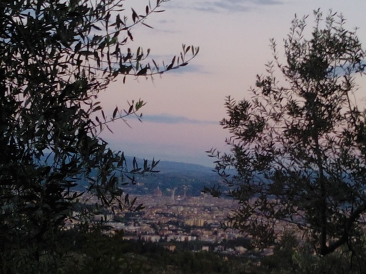 View of sunset in Florence from behind olive trees