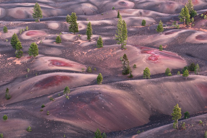 pink landscape