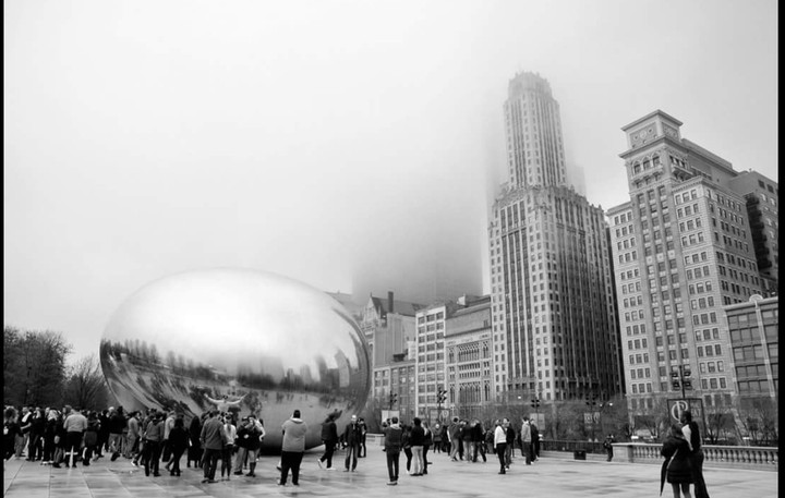 Chicago bean