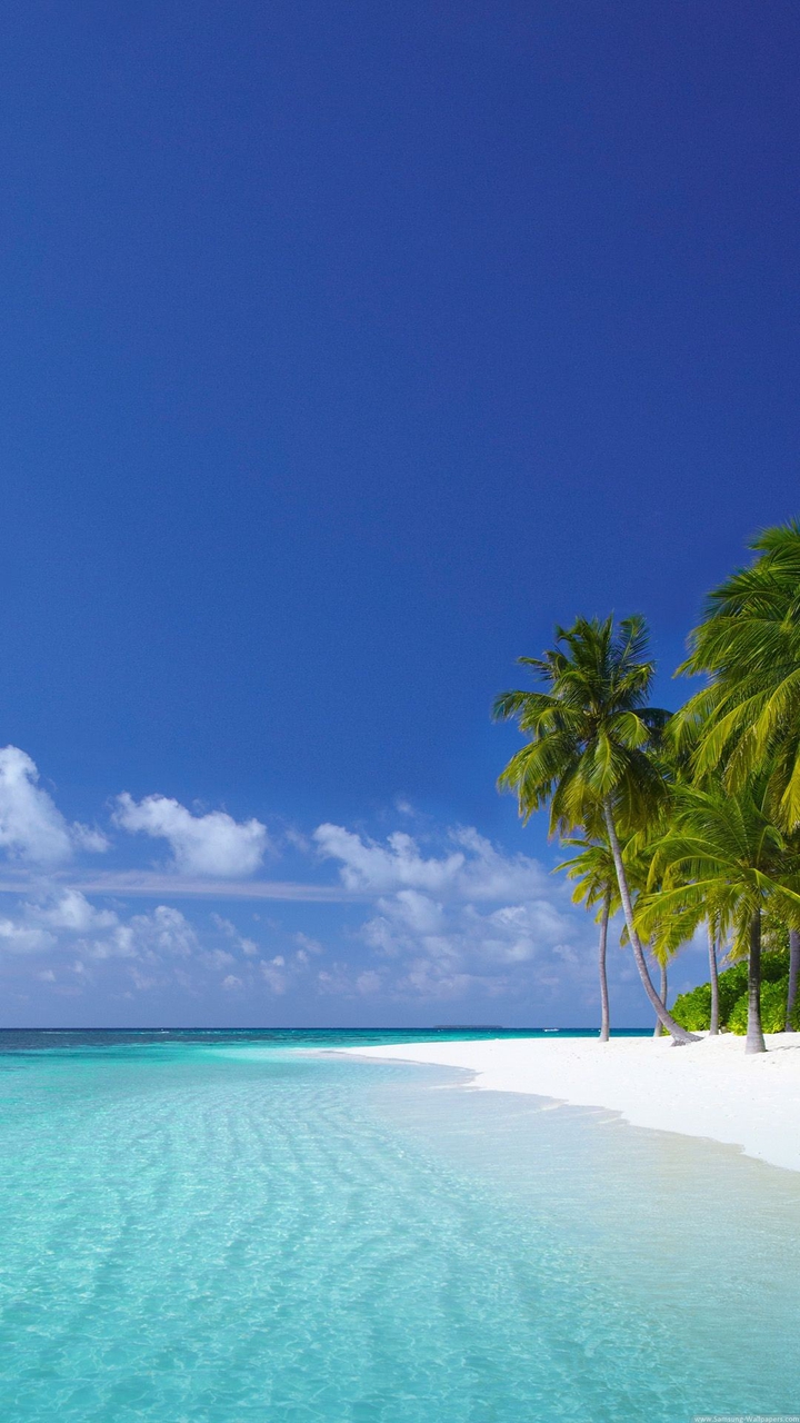 Paradise