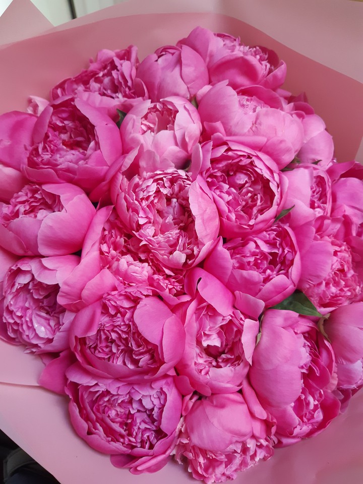 peony