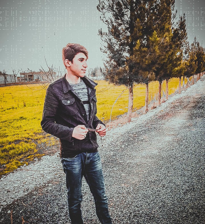 bir bakis