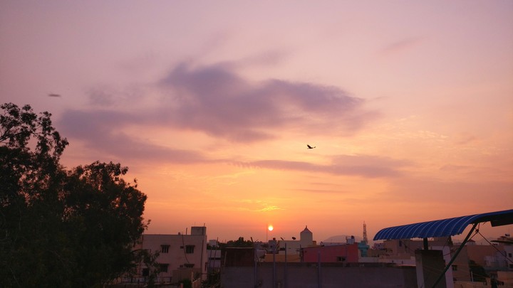 #sunrise #coolmorning