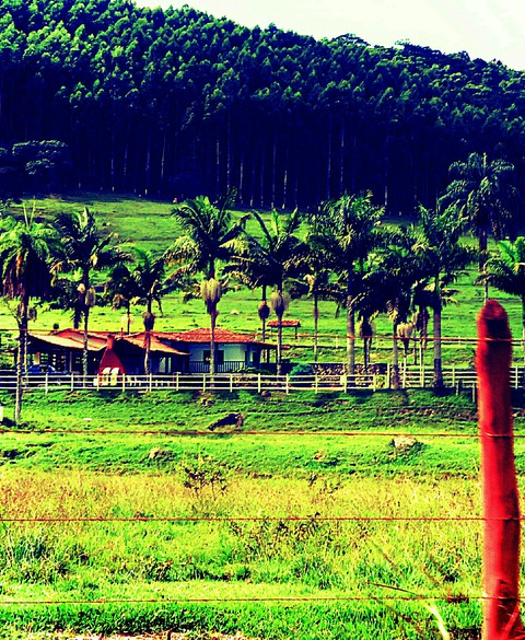 Fazenda em Caeté, MG, Brasil.