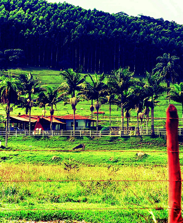 Fazenda em Caeté, MG, Brasil.