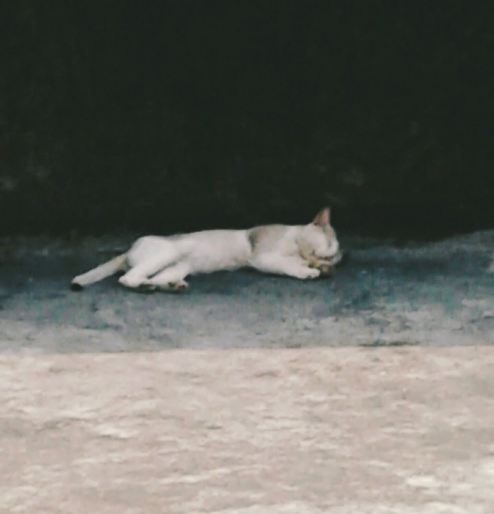 Nap time