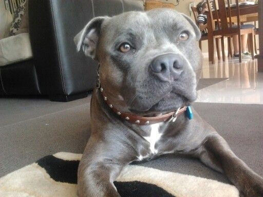 ♥️♥️♥️