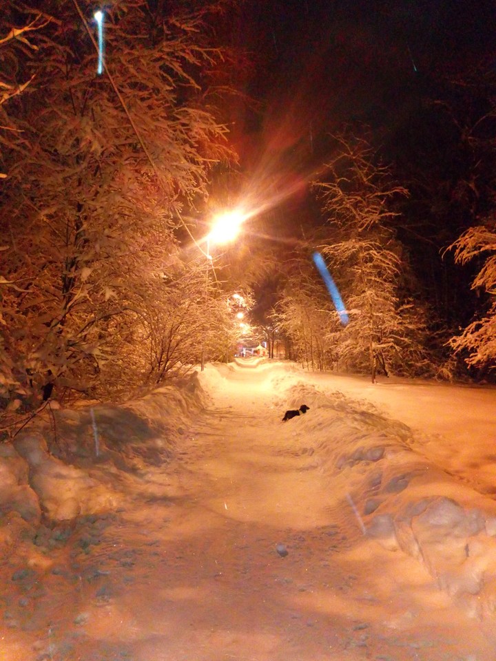 Winter