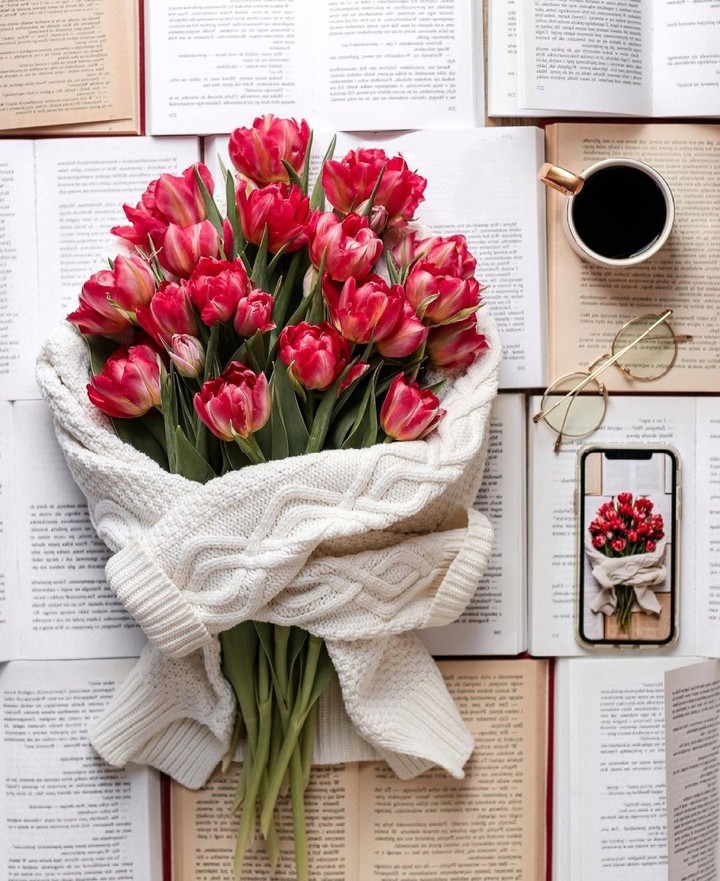 my tulips...