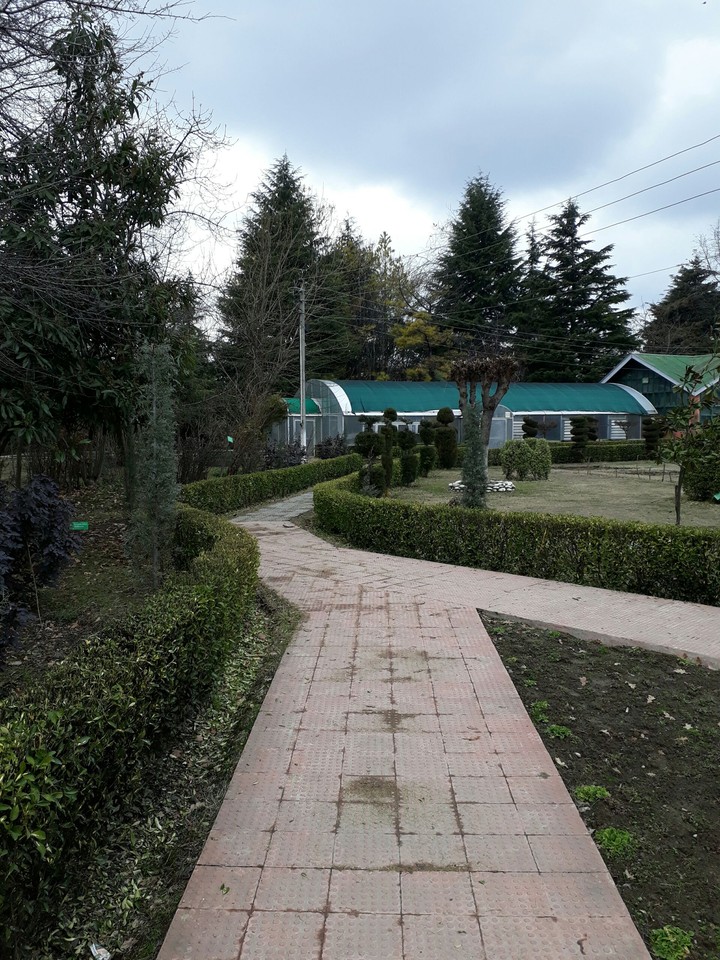 Botanical garden