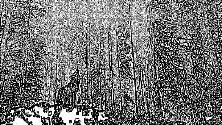 dibujo 2 el lobo