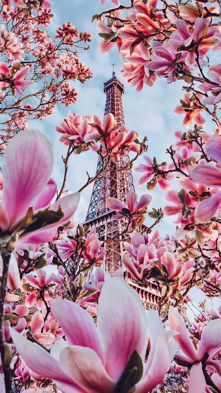 Eiffel tower