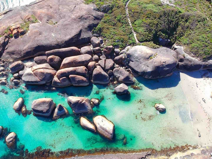 Elephant beach in Australia