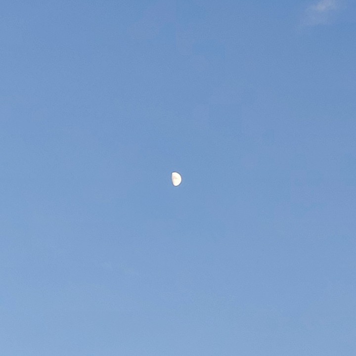 moon