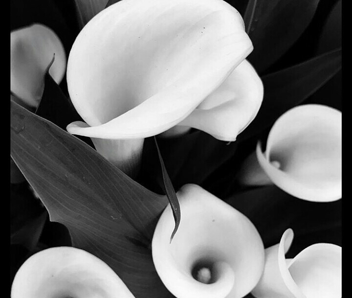 Black & white.