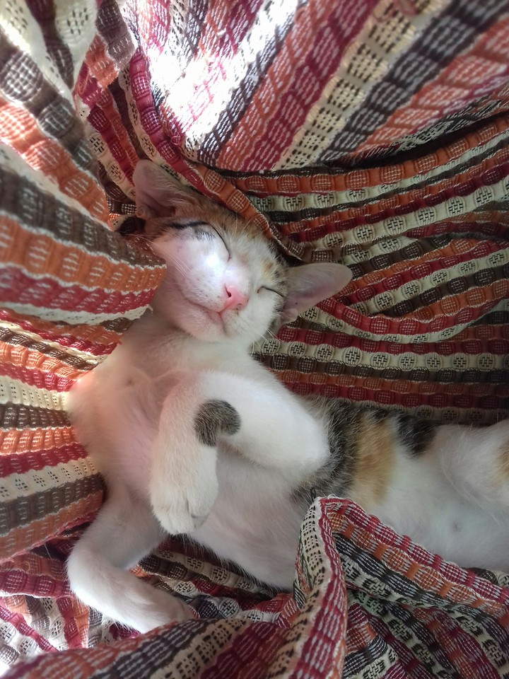 Sleeping