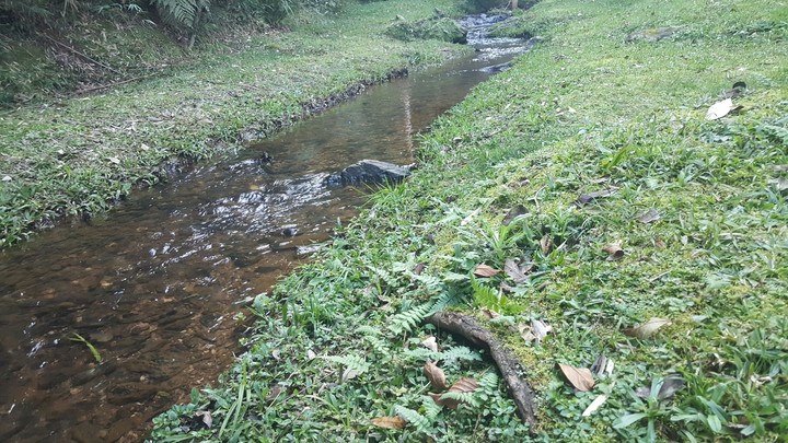 Curitiba- Brasil