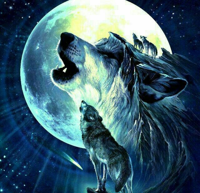 Wolf