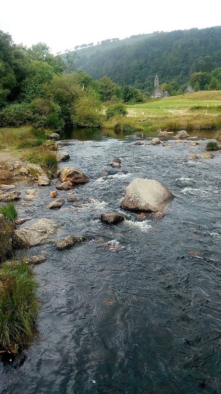 nature