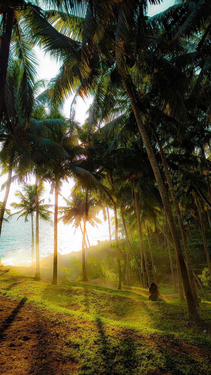 kerala ✨