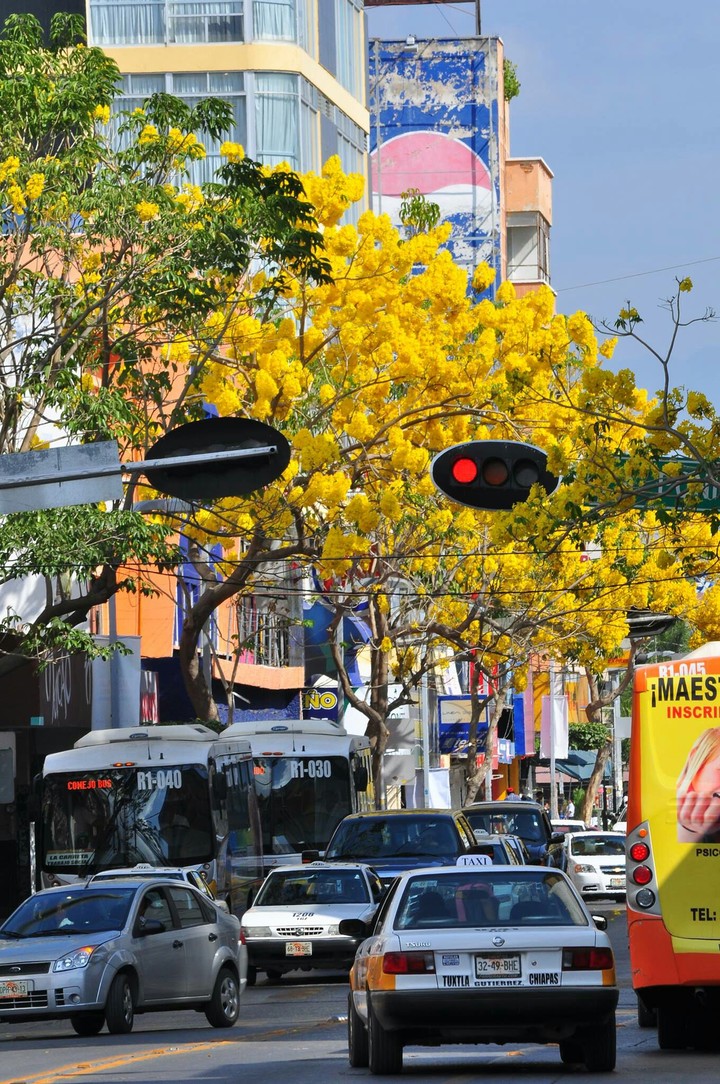 Tuxtla Gutierrez