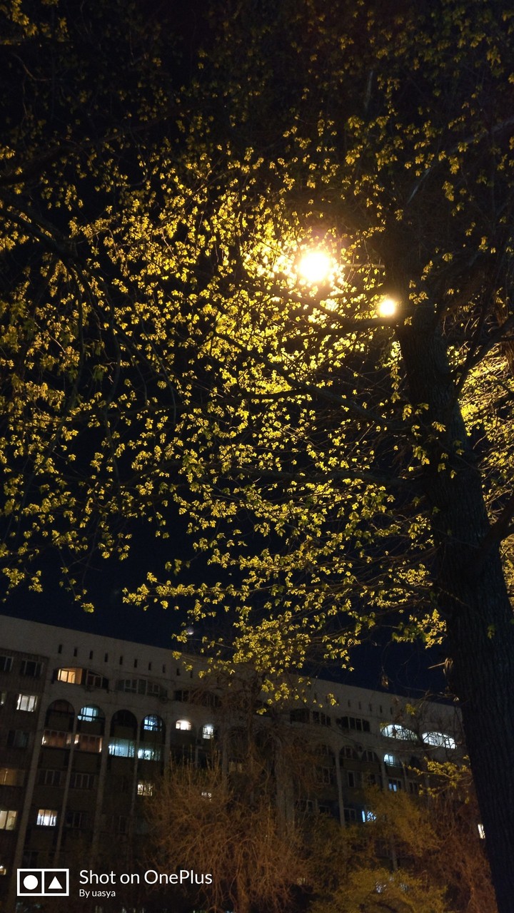 spring