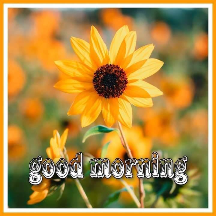 good morning to beautiful people ?