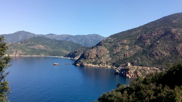 Corse