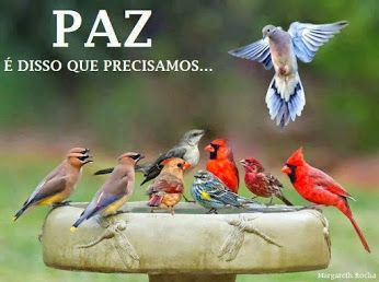 Aos amigos do coração bjs.