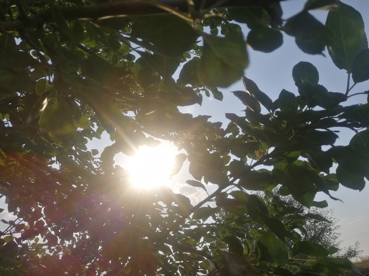солнце, 18.30 pm, the sun