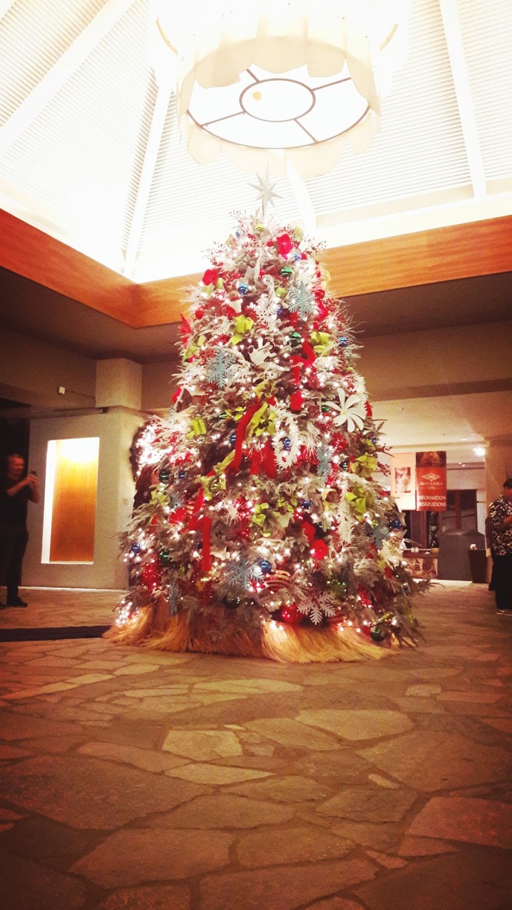 Christmas in Hawaii