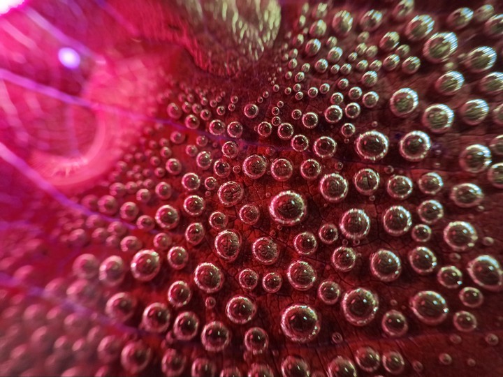macro