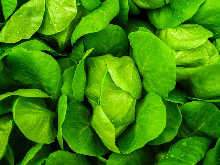 green