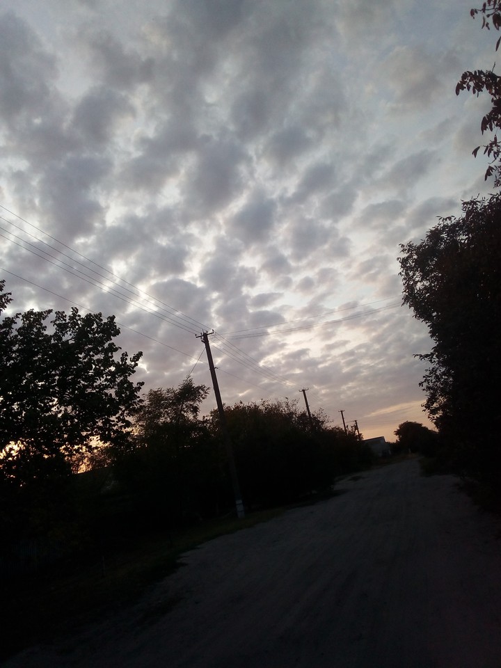 nature