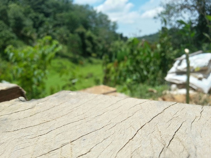 Hot day.....
