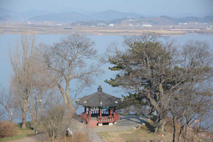 웅포이미지