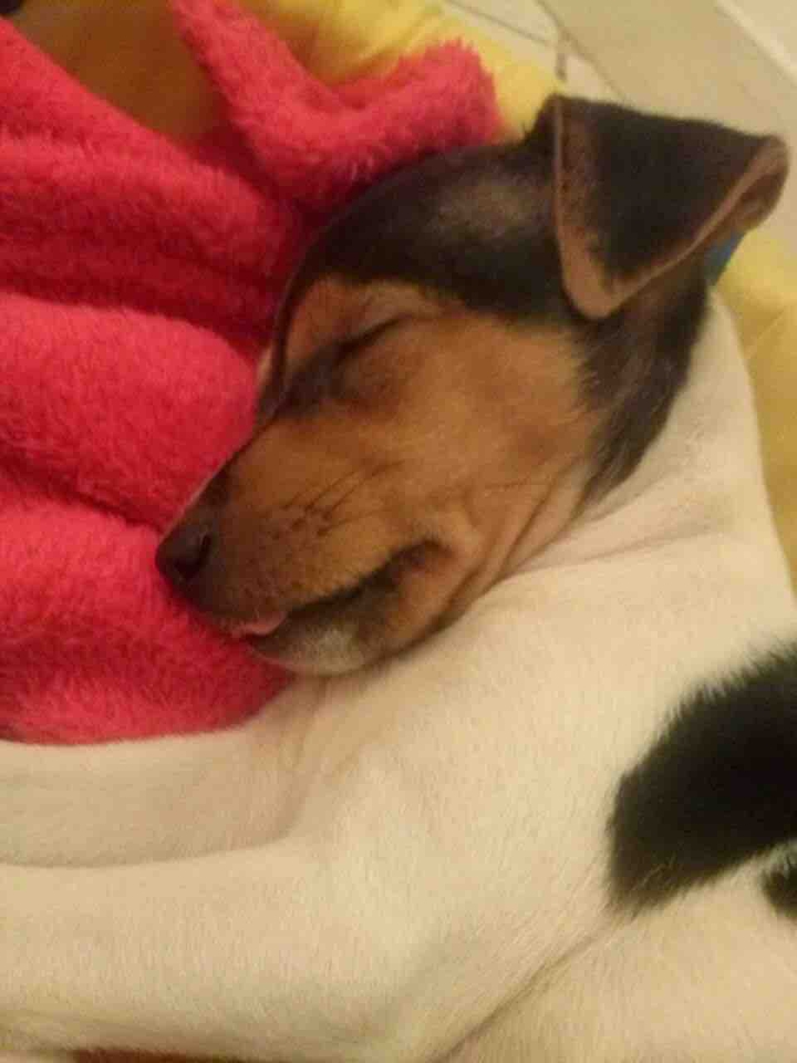 sleep baby