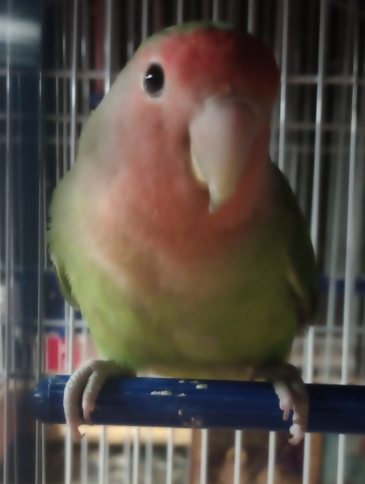 .