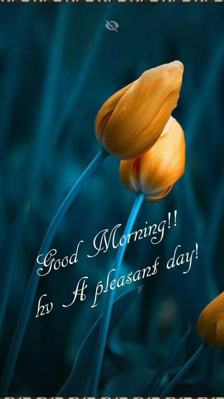 Good morning